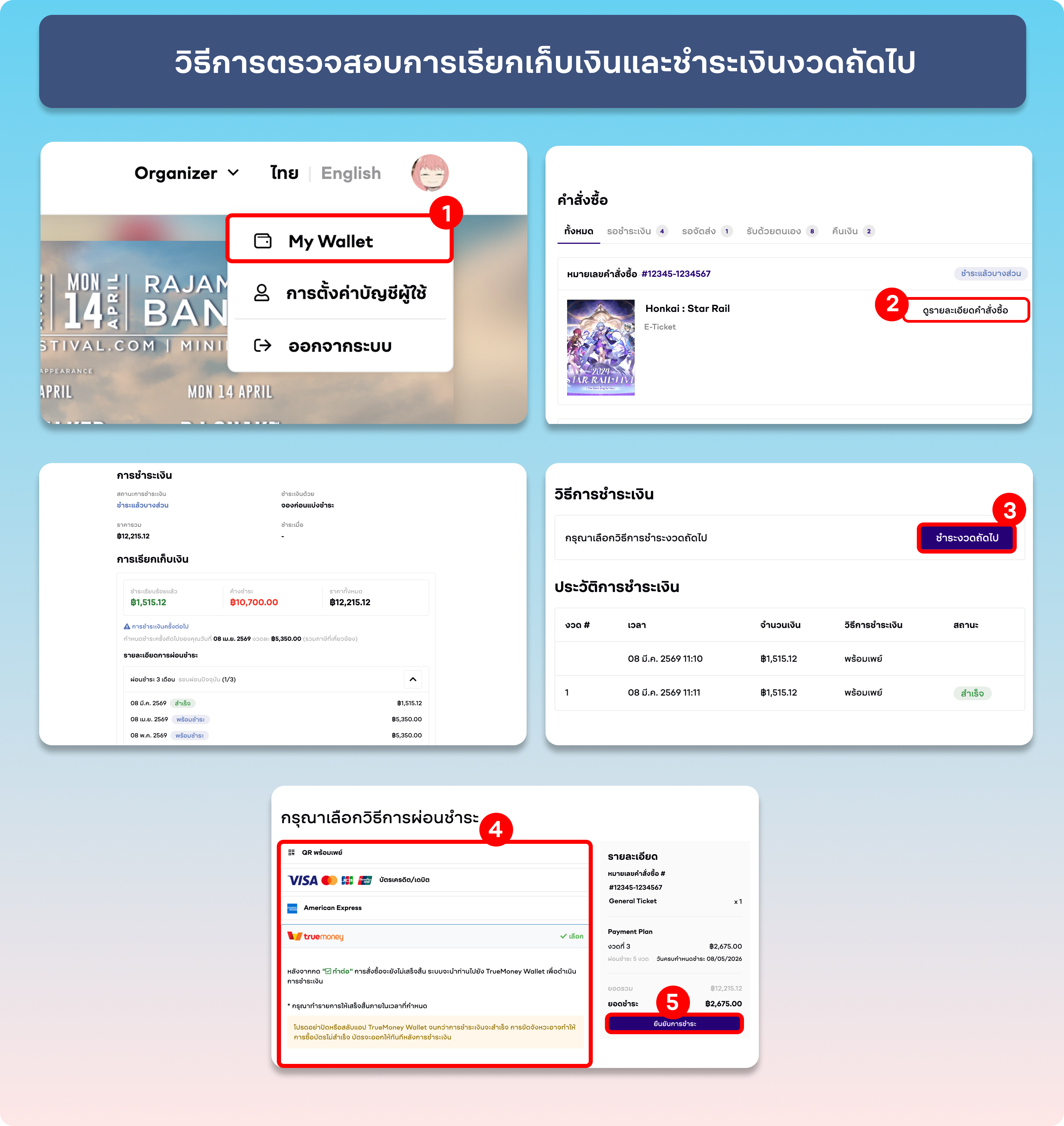 Payment Plan Check (browser) - TH
